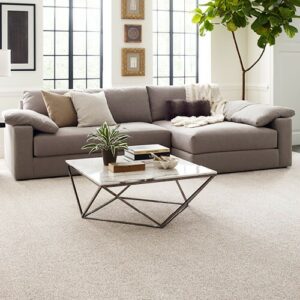 carpet in living room | DeHaan Tile & Floor Covering | Grand Rapids, MI
