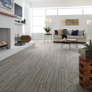 carpet in living room | DeHaan Tile & Floor Covering | Grand Rapids, MI