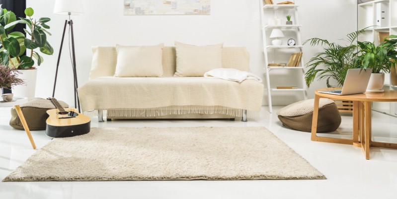 Living room rug | DeHaan Tile & Floor Covering