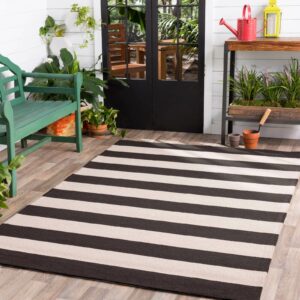 Stripped area rug | DeHaan Tile & Floor Covering