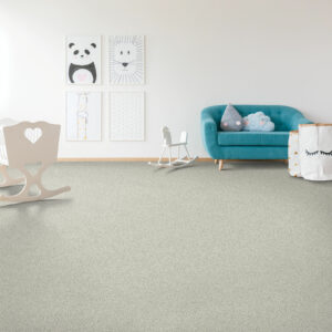 Carpet in living room | DeHaan Tile & Floor Covering | Grand Rapids, MI