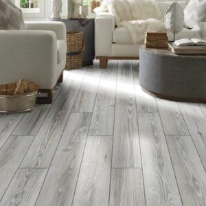 Shaw-Traditions-Platinum | DeHaan Tile & Floor Covering