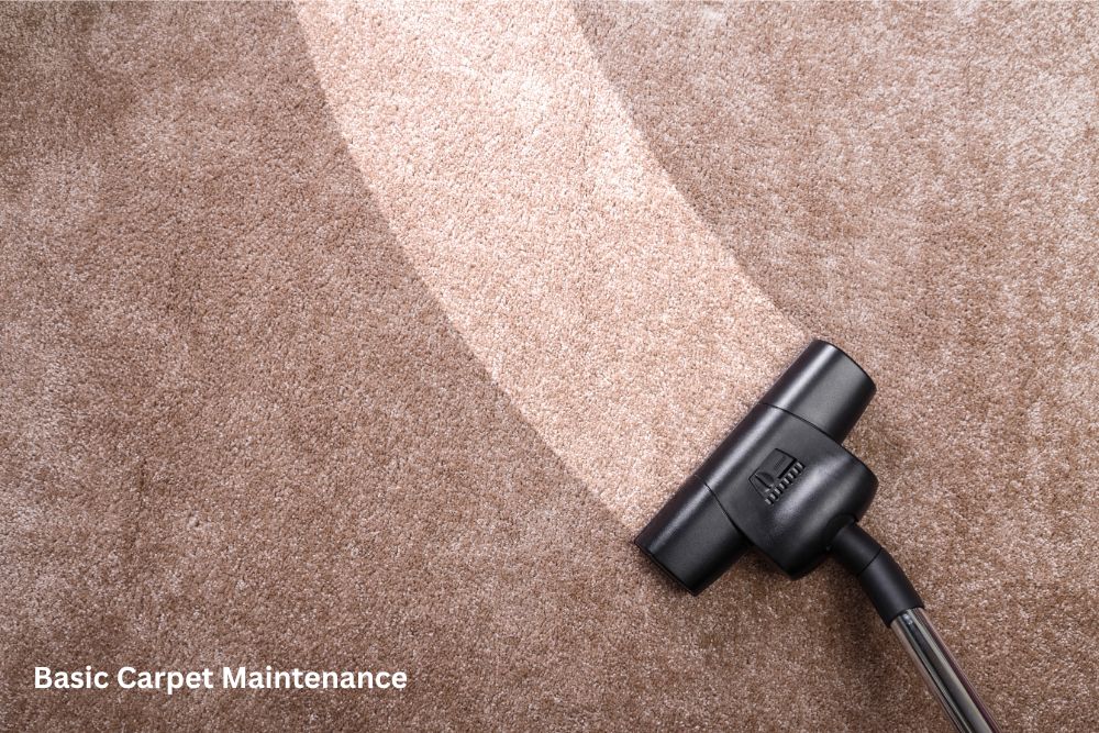 Carpet cleaning | DeHaan Tile & Floor Covering