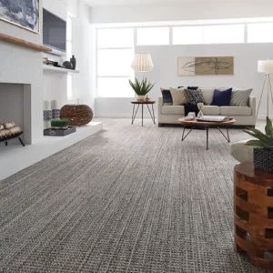 Gray carpet | DeHaan Tile & Floor Covering