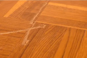 Scratches Floor Scratches | DeHaan Tile & Floor Covering