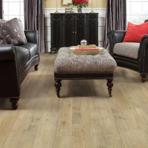 Black sofa on laminate floor | DeHaan Tile & Floor Covering