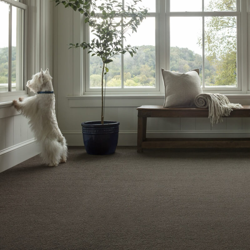 2026 Flooring Trends That Bring Warmth and Style to Your Home